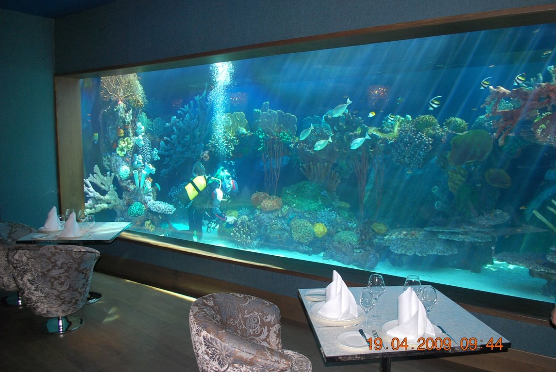 imagini hotel MARDAN PALACE